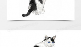 猫漫画手绘,猫漫画里的奇幻世界